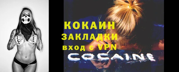 твердый Балахна
