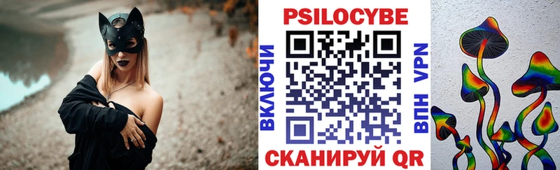 закладка  Нерюнгри  Псилоцибиновые грибы Cubensis 